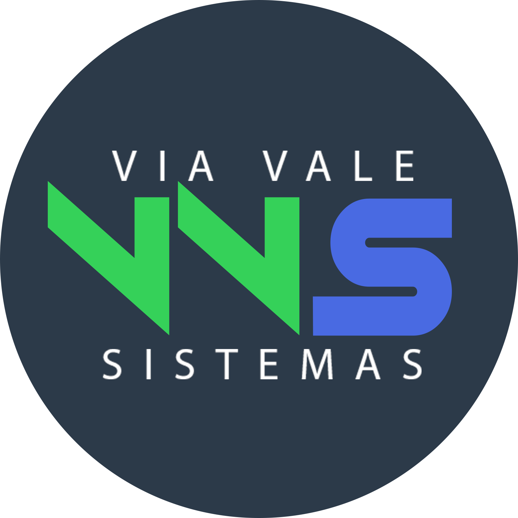 Logo Via Vale Sistemas